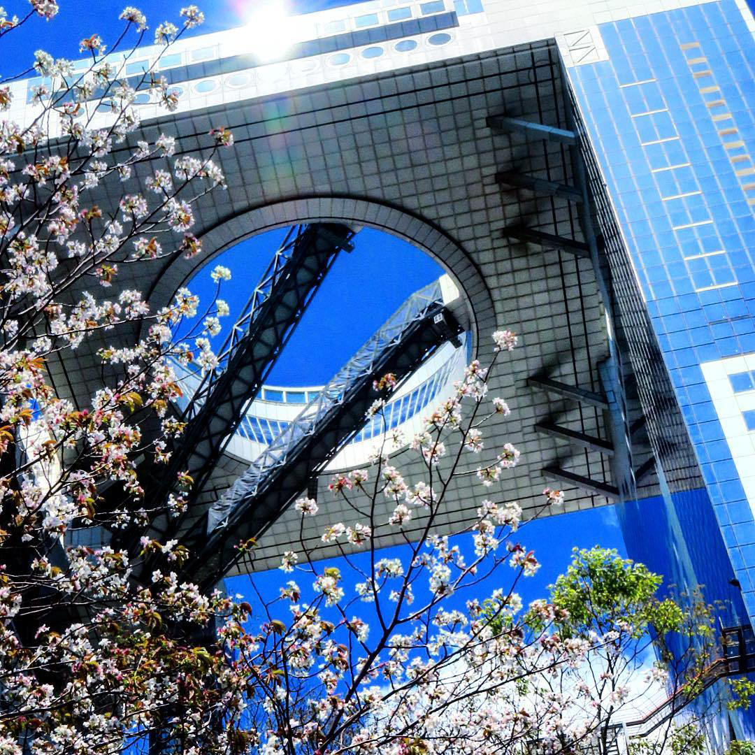 梅田スカイビル 桜