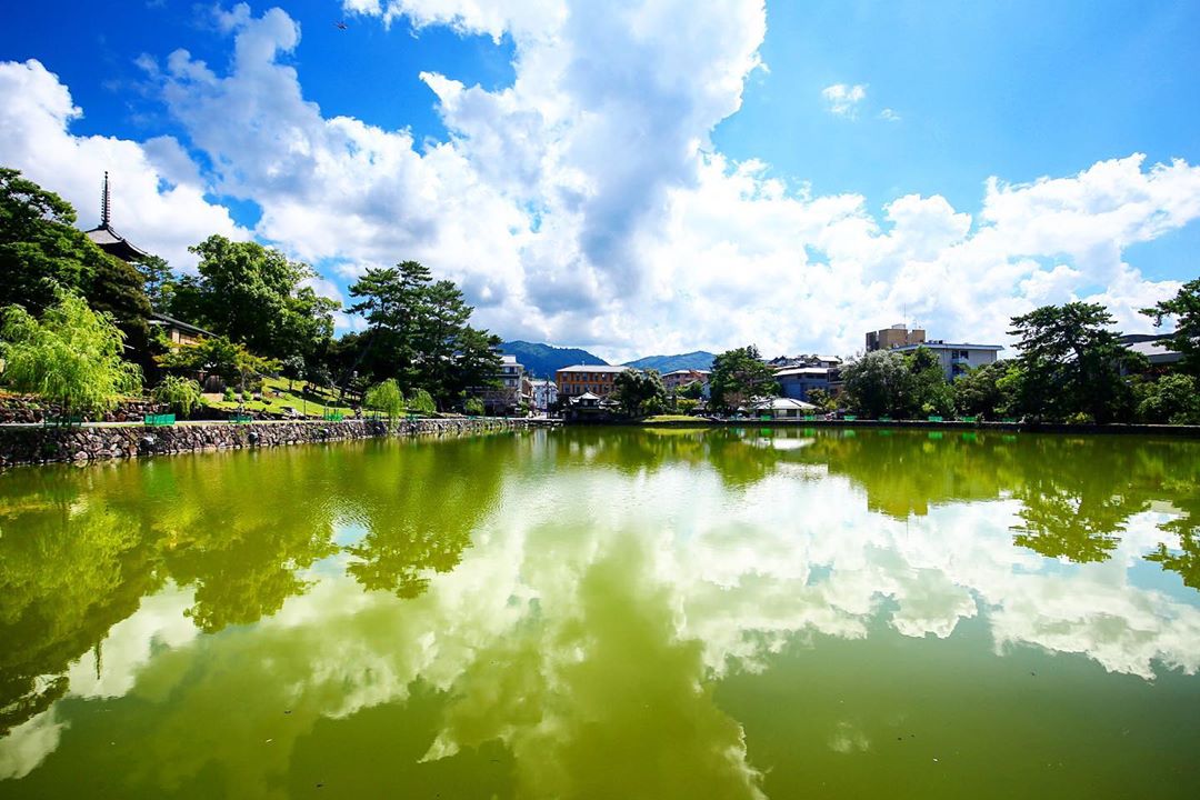 奈良 猿沢池